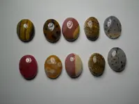 DSCN1728.webp