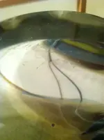 ImageUploadedByTreasureNet.com1423578487.619398.webp