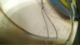ImageUploadedByTreasureNet.com1423578506.007867.webp