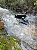 IMG_0462 (600x800) (600x800).webp