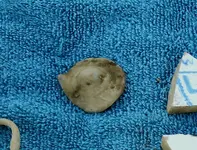 DSCN1497.webp