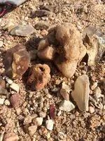 ImageUploadedByTreasureNet.com1422896963.125443.webp