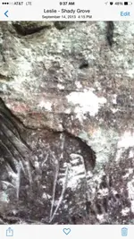 ImageUploadedByTreasureNet.com1421336273.382761.webp