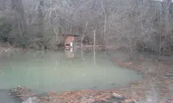 uploadfromtaptalk1421982887870.webp