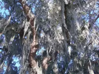 HPIM4995.webp