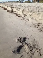 02-17-2015 a.m. @ Delray Beach3.webp 02-17-2015 a.m. @ Delray Beach3.webp
