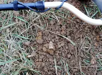 DSCN1481.webp