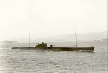 protee_flotte.webp