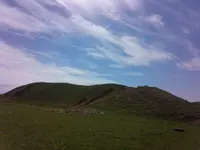 20140412_114255.webp