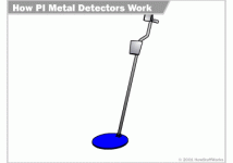 PI Metal Detector.gif