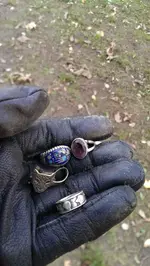 4rings.webp