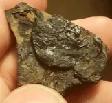 coal1.webp coal1.webp