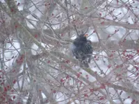 K1600_002.webp