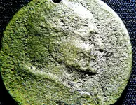 DSCN0182.webp