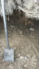 20150210_150515.webp