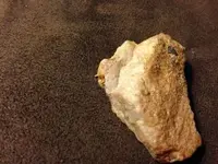 ImageUploadedByTreasureNet.com1419996433.324454.webp