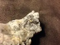 ImageUploadedByTreasureNet.com1419996450.141734.webp