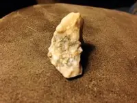 ImageUploadedByTreasureNet.com1419996491.591777.webp