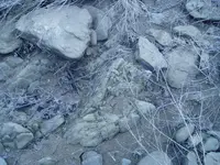 005.webp