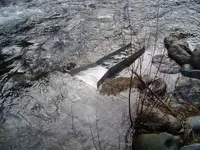011.webp