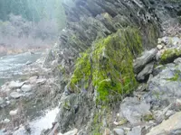025.webp