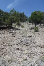 oldmuletrailnevada.webp