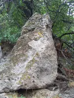 nevadadiscovery 022.webp
