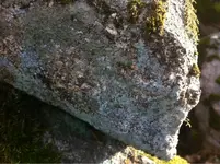 image-3940390148.webp