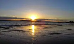 IMAG0199.webp