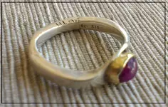 IMAG0209.webp