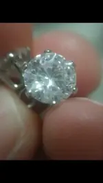 macro 01.webp