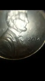 macro 02.webp