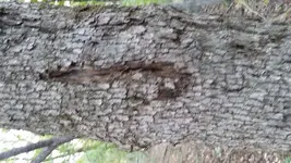 20140928_164646.webp 20140928_164646.webp