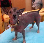 xDSC01210.webp