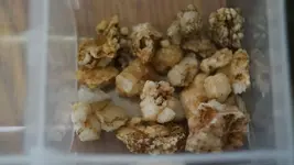 DSC02716 (Custom).webp