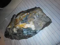 NCM_0366.webp