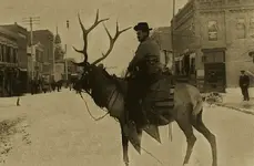 Elk rider.webp