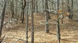 20150123_123700.webp