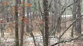 20150123_123709.webp