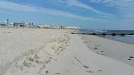 20150225_124248.webp