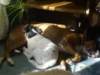S6301718.webp
