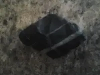 1425685474898.webp