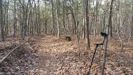20150115_115344.webp