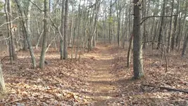 20150115_115331.webp
