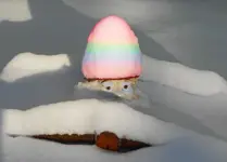 snow 005-2.webp