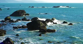 DSCN7204.webp