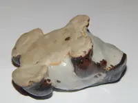 DSCN8806.webp