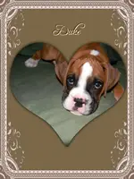 ImageUploadedByTreasureNet.com1424909694.494483.webp