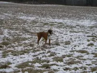 ImageUploadedByTreasureNet.com1424909809.396508.webp