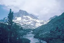 16.webp